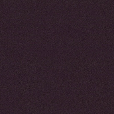 Vita Amethyst