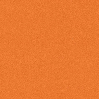Vita Carrot