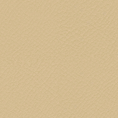 Vita Bone
