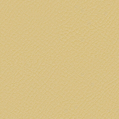 Vita Cornsilk