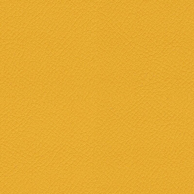 Vita Lemon