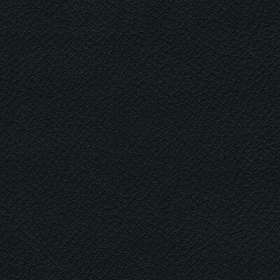 Vita Noir