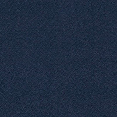 Vita Navy