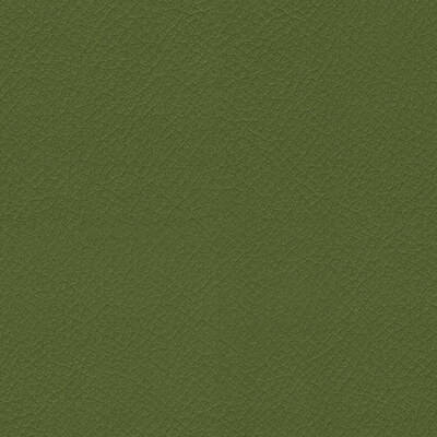 Vita Olive