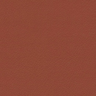 Vita Rust