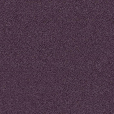 Vita Plum