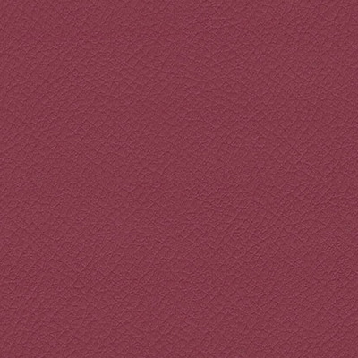 Vita Pink