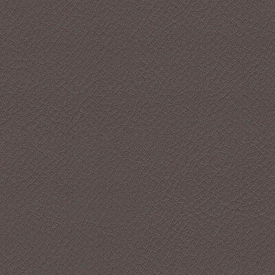 Vita Taupe