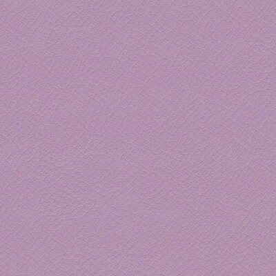 Vita Wisteria