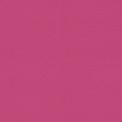 Vita Flamingo
