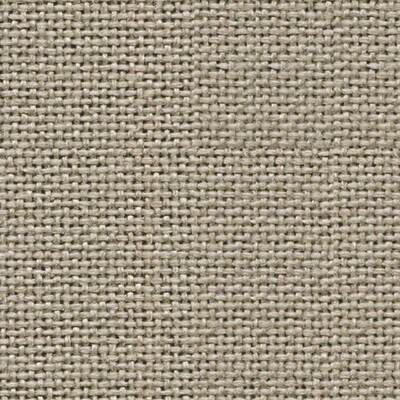 Cara Shetland